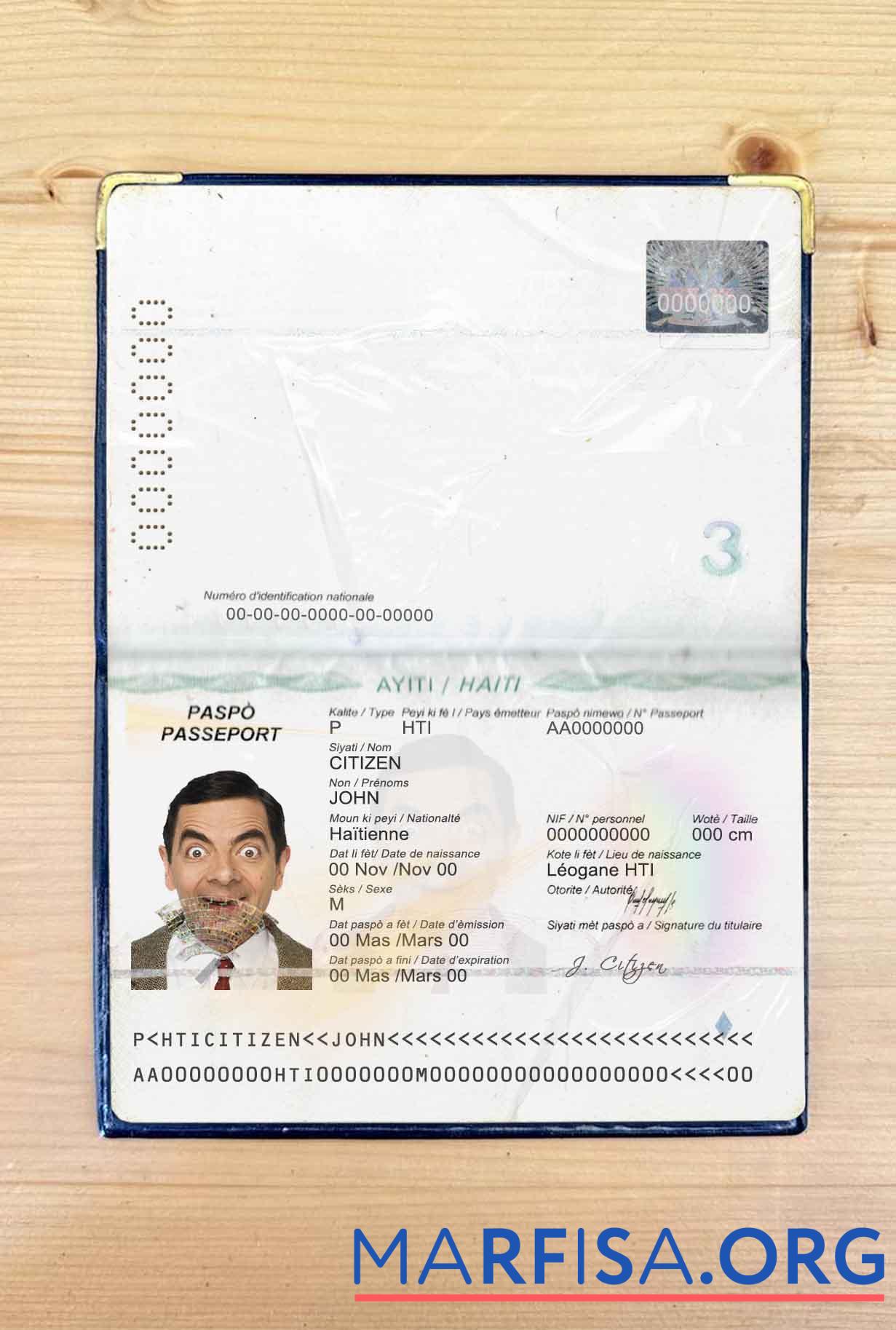 Blank Haiti passport photo look example